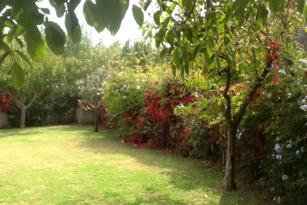 The Cottage House Romirion ภายนอก รูปภาพ